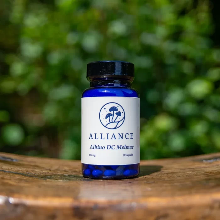 <div class="product-title">Albino DC Melmac</div><div class="product-description">A mutation of the classic Melmac lineage, offering exceptional clarity and a smooth, clean experience. Favored for heightened focus, emotional balance, and an uplifted state without overstimulation.</div>