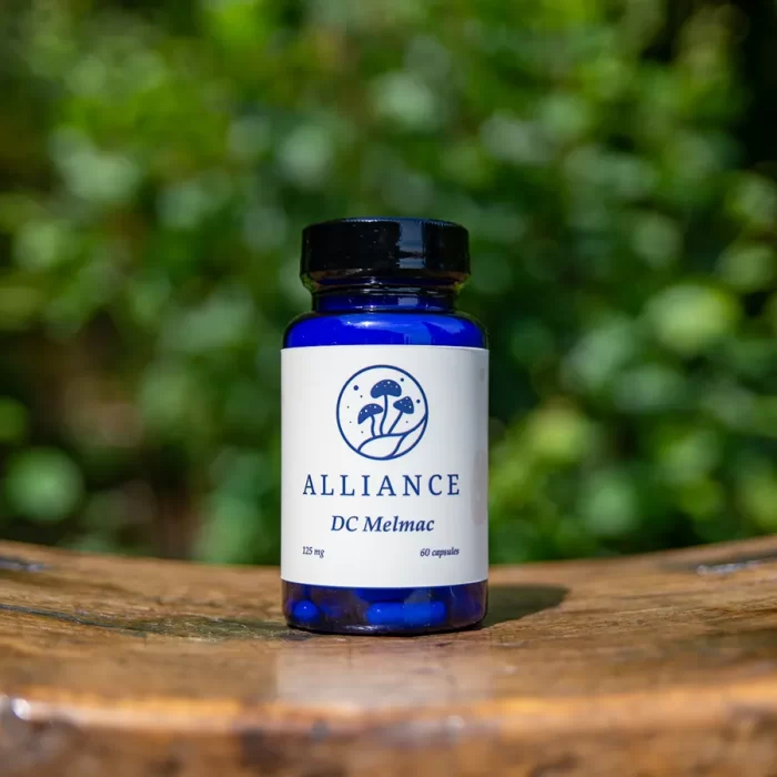 <div class="product-title">Single Strain</div><div class="product-description">A single strain of pure cubensis capsules.</div>