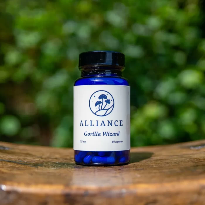 <div class="product-title">Gorilla Wizard</div><div class="product-description">An albino hybrid from the Melmac and Penis Envy family, noted for its clear focus, calm strength, and deep emotional grounding. In microdoses, it delivers mental clarity and inner steadiness—ideal for focused work, creativity, or mindful reflection.</div>