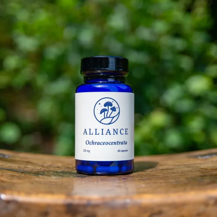 <div class="product-title">Ochraceocentrata</div><div class="product-description">Formerly known as “Natalensis,” this strain has been clinically researched for its anti-inflammatory properties. This distinct species is celebrated for its anti-inflammatory and pain-relieving qualities.</div>