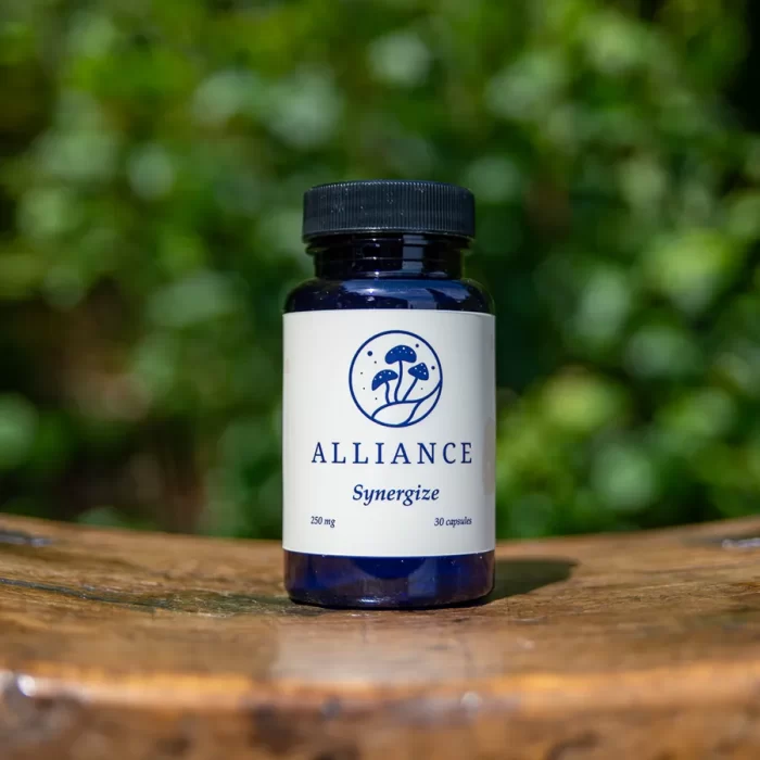 <div class="product-title">Synergize</div><div class="product-description">A 100% cubensis blend that is favored by all who try it.  This is our go-to microdose.</div>